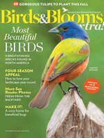Birds and Blooms Extra
